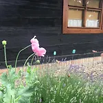 Bed & Breakfast Hanka I Jurek