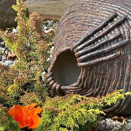 ベッド・アンド・ブレックファスト Hanka I Jurek Boruja