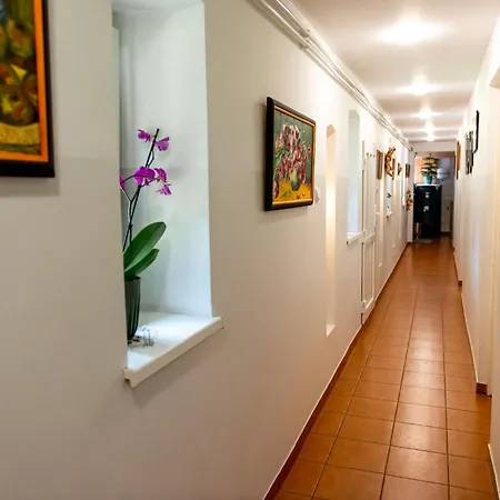 Hanka I Jurek ベッド・アンド・ブレックファスト Boruja