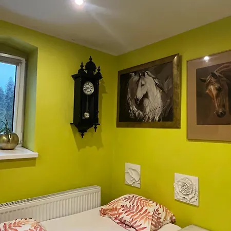 B&B Hanka I Jurek Boruja