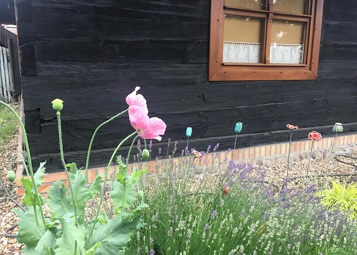 Bed & Breakfast Hanka I Jurek