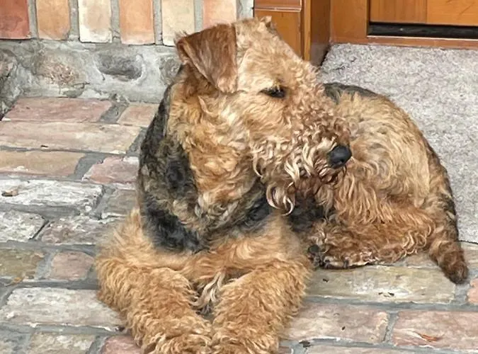 Hanka I Jurek Bed & Breakfast