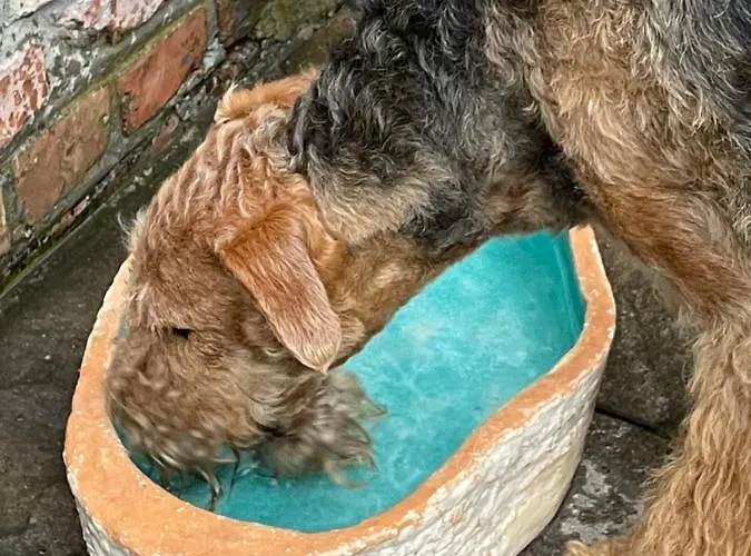 Hanka I Jurek Boruja