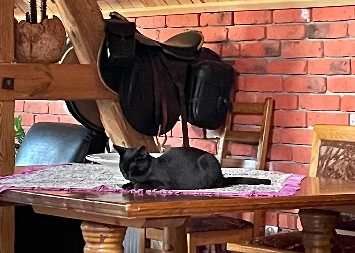 Bed & Breakfast Hanka I Jurek Boruja