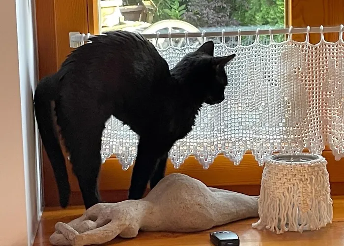 Hanka I Jurek Bed & Breakfast