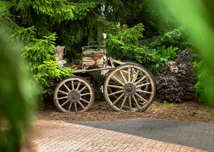 Hanka I Jurek Boruja