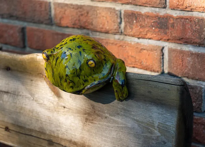 Hanka I Jurek 3* Boruja