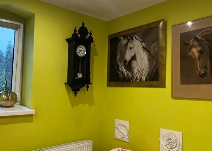 Bed & Breakfast Hanka I Jurek Boruja