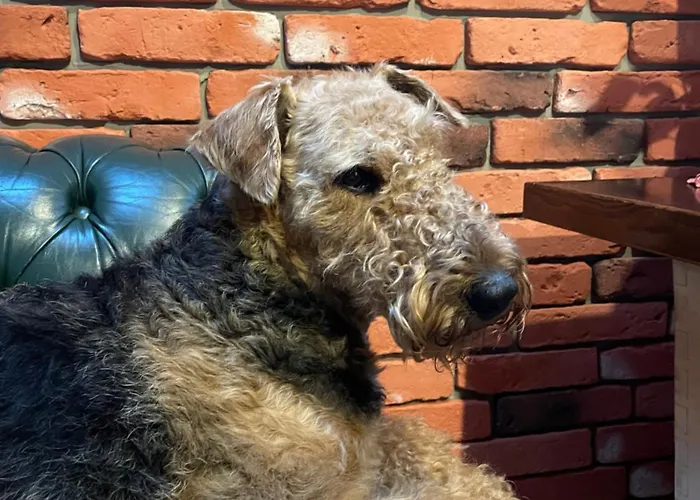 Bed & Breakfast Hanka I Jurek