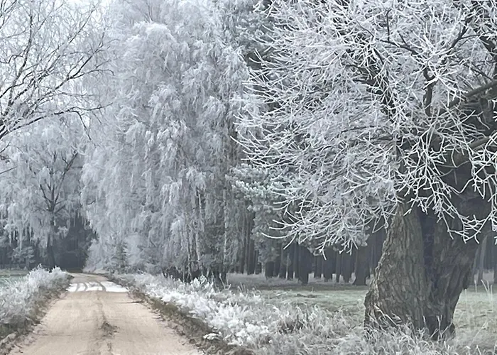 Bed & Breakfast Hanka I Jurek 3*